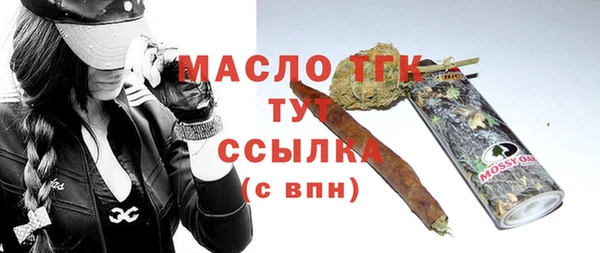 гидра Инсар