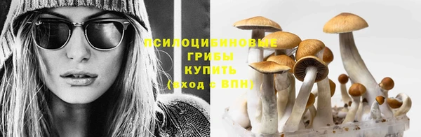 гидра Инсар