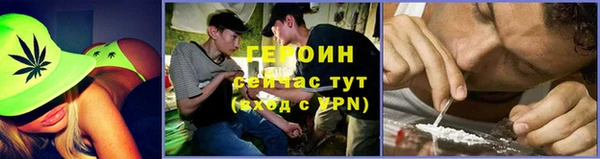 гидра Инсар