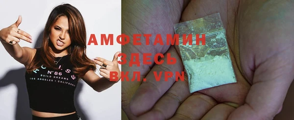 гидра Инсар