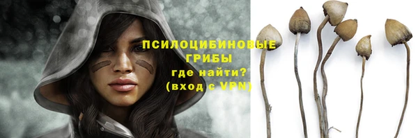 МДПВ Инта