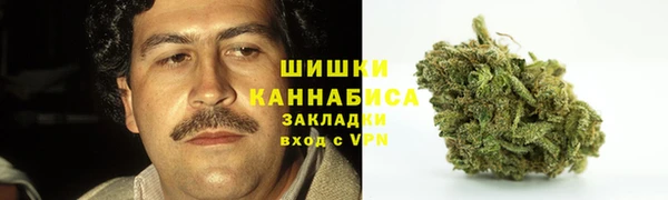 гидра Инсар