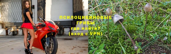 гидра Инсар