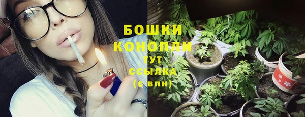 гидра Инсар