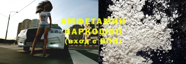 гидра Инсар