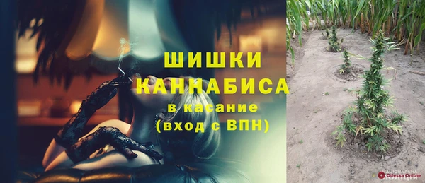 МДПВ Инта