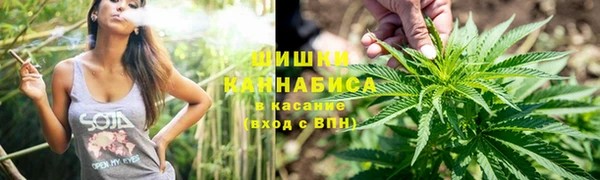 МДПВ Инта