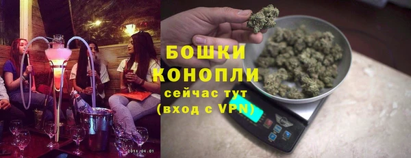 гидра Инсар