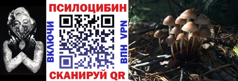 Купить где  Кандалакша  Псилоцибиновые грибы MAGIC MUSHROOMS 